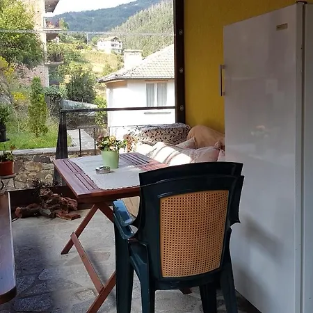 Guest house 